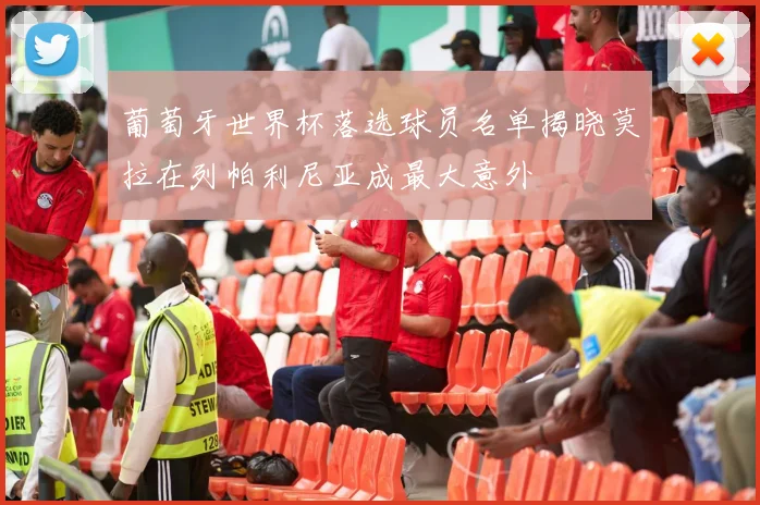 葡萄牙世界杯落选球员名单揭晓莫拉在列帕利尼亚成最大意外