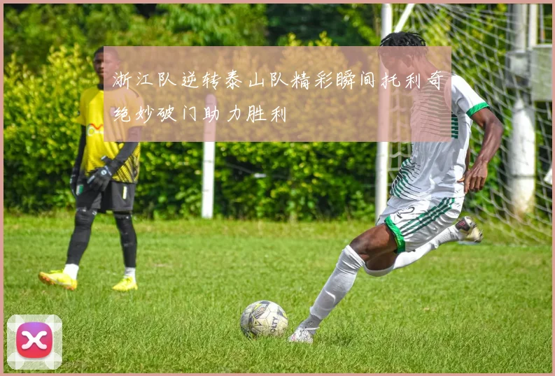 浙江队逆转泰山队精彩瞬间托利奇绝妙破门助力胜利